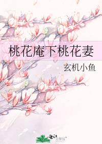 桃花庵下桃花妻